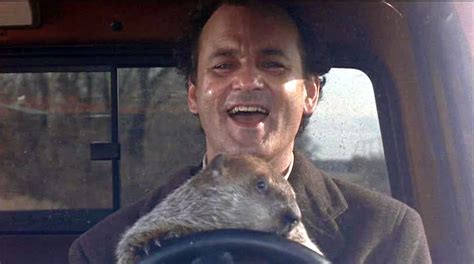 How to Watch Groundhog Day Online Today .